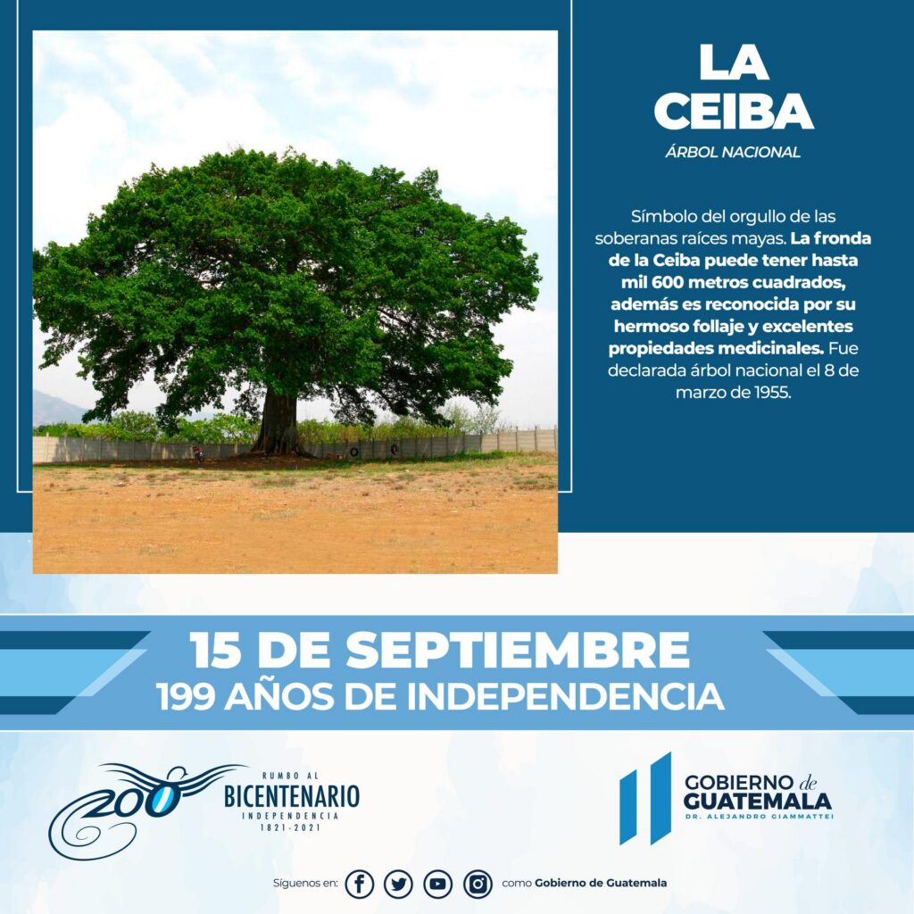 MES DE LA INDEPENDENCIA