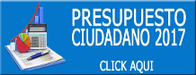 Presupuesto Ciudadano 2017