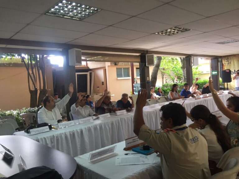 Séptima Reunión Extraordinaria del CODEDE